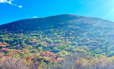 Rancho Ganadero en venta