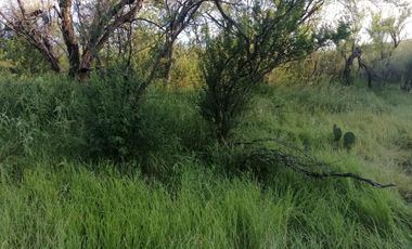 Rancho Ganadero en venta