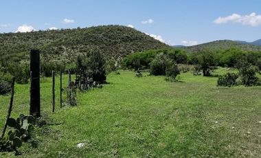 Rancho Ganadero en venta