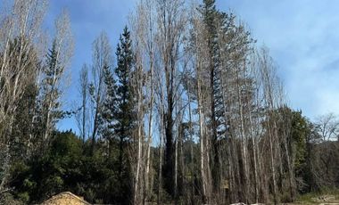 Construye tus sueños camino a Cabrero