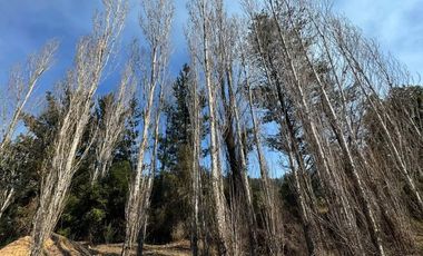 Construye tus sueños camino a Cabrero