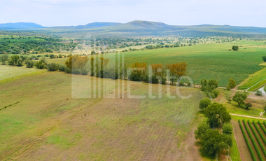 RANCHO EN VENTA EN COLON QUERETARO