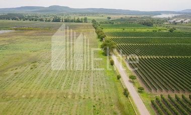 RANCHO EN VENTA EN COLON QUERETARO