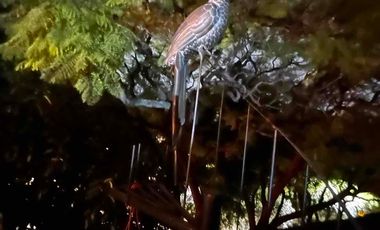 Suite con baño privado barra de cocina y lavadora