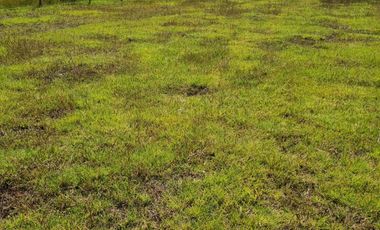 OPORTUNIDAD TERRENOS EN HUASCA