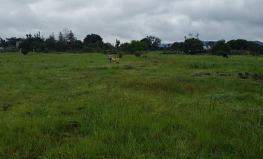 OPORTUNIDAD TERRENOS EN HUASCA