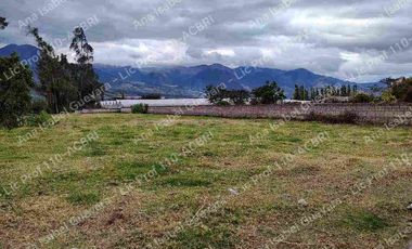 De Venta terreno productivo