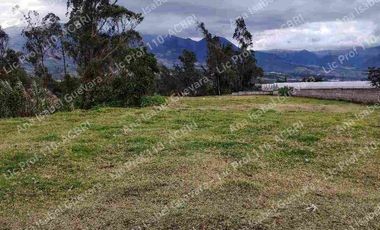 De Venta terreno productivo