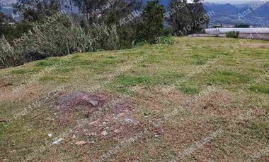 De Venta terreno productivo