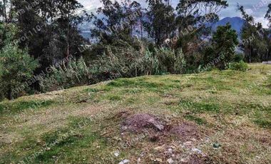 De Venta terreno productivo