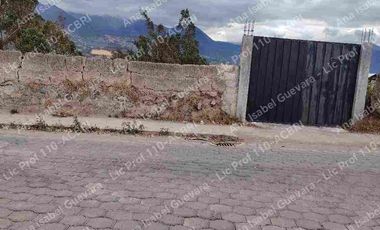 De Venta terreno productivo