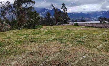 De Venta terreno productivo