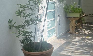 SE RENTA CASA EN PALMA REAL