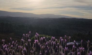 Se vende hermosa casa en Potrero de Garay, con inmejorables vistas a las Altas cumbres y pinares- 799