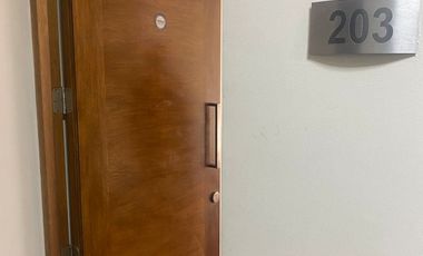 Iluminado Depto Norte, Terraza, 2d, 2b, Bga, Conex Lavadora