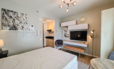 Beautifully Furnished Studio Unit in Solinea