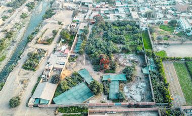 EN VENTA – TERRENO DESDE 5,000 m² EN LIMA NORTE (PUENTE PIEDRA– KM 26.5 PANAMERICANA NORTE)