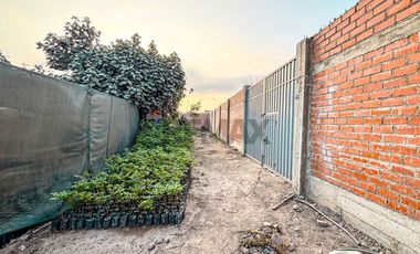 EN VENTA – TERRENO DESDE 5,000 m² EN LIMA NORTE (PUENTE PIEDRA– KM 26.5 PANAMERICANA NORTE)