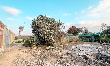 EN VENTA – TERRENO DESDE 5,000 m² EN LIMA NORTE (PUENTE PIEDRA– KM 26.5 PANAMERICANA NORTE)