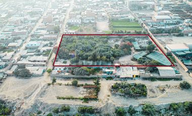 EN VENTA – TERRENO DESDE 5,000 m² EN LIMA NORTE (PUENTE PIEDRA– KM 26.5 PANAMERICANA NORTE)