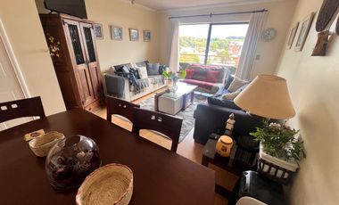 Departamento Centro De Pucón Vista Al Volcán