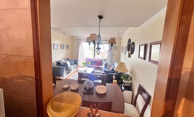 Departamento Centro De Pucón Vista Al Volcán