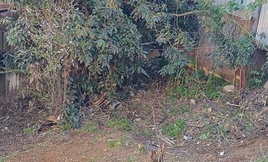 I. HOLZAPFEL #994 | Terreno 384 m2 en Viña del Mar