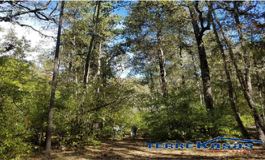 Rancho en Venta en Valparaíso, Zacatecas, cuenta con 100 hectáreas
