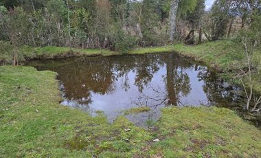 Casa Estilo Rústico – Sector Colo Colo, Los Lagos
