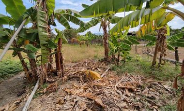terreno esquinero de venta los jazmines portoviejo