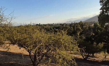 Oportunidad de Inversión – Parcela en Piedra del Rey Norte, San Fco de Mostazal