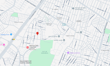 NUEVA ESPAÑA , GUADALAJARA