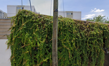 NUEVA ESPAÑA , GUADALAJARA