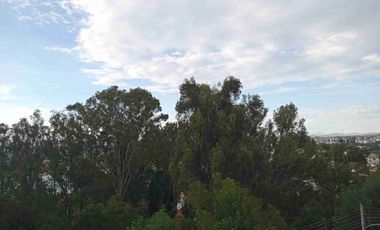 DEPARTAMENTO EN RENTA NUEVA JACARANDA