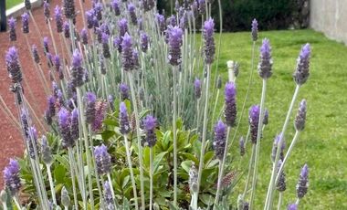 departamento venta fénix 5