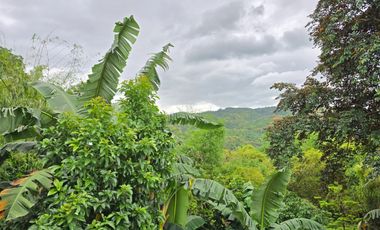 2 Storey Townhouse for sale in San Mateo Rizal near  Quezon City and Marikina City