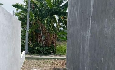 Dijual Rumah Grass Murah Di Bawah Harga Pasar