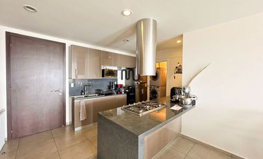 Departamento en Renta en Pissarro Carso Nuevo Polanco y Ampliación Granada