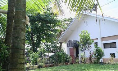 Beach Resort for Sale located in Funda-Dalipe, San Jose, Antique