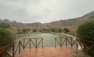 🌴 ¡Vive o invierte en San Antonio Cañete! 🌊 🏡 Terreno en Condominio El Nuevo Polo, una zona exclusiva y segura a pocos minutos de Lima.