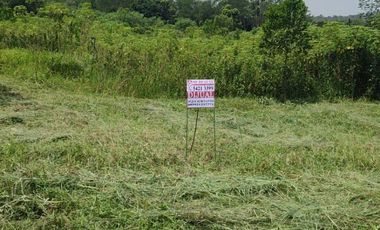 Jual kavling  ds. kampung Kompa, berbentuk kotak rencana akan dibangun