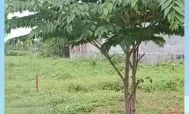 Dijual Tanah Siap Bangun Cocok Untuk Investasi/Usaha
