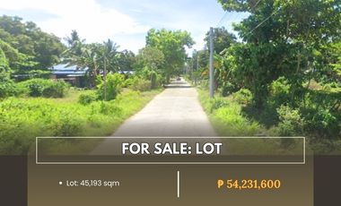 Lot for sale