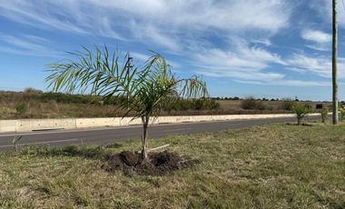 COUNTRY DEL NORTE - LOTE EN VENTA