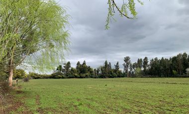 Se vende parcela agrícola 3,59 ha en la comuna de Pelarco