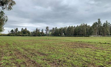 Se vende parcela agrícola 3,59 ha en la comuna de Pelarco