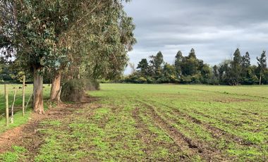 Se vende parcela agrícola 3,59 ha en la comuna de Pelarco