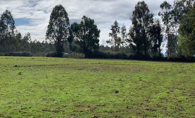 Se vende parcela agrícola 3,59 ha en la comuna de Pelarco