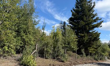 Se vende parcela de 5.000 m2 en Vilches Alto