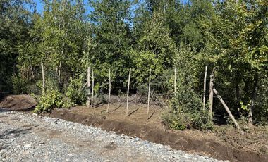 Se vende parcela de 5.000 m2 en Vilches Alto